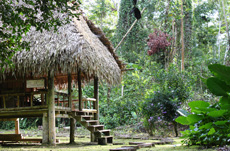 Lodge Amazonas