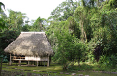 Ecuador Lodge Amazonas